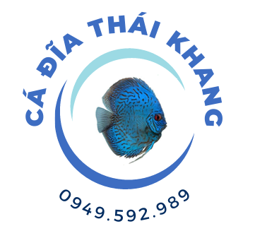 Cá Đĩa Thái Khang